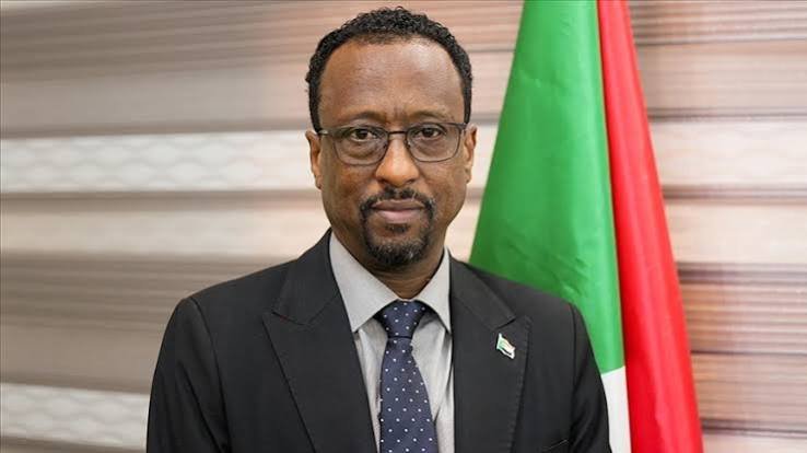 وزير الإعلام السودانى